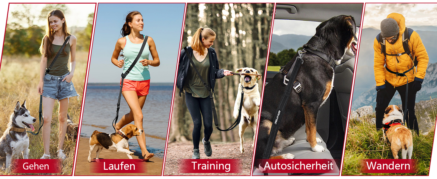 Fünf Bilder von Outdoor-Aktivitäten mit Menschen und Hunden, auf Deutsch beschriftet: Gehen, Laufen, Training, Ausbildchen und Wandern