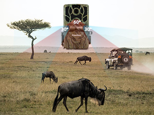 Safari scene visualization showing wildlife camera view with animals and landscape, featuring wildebeest and acacia tree in African savanna setting.