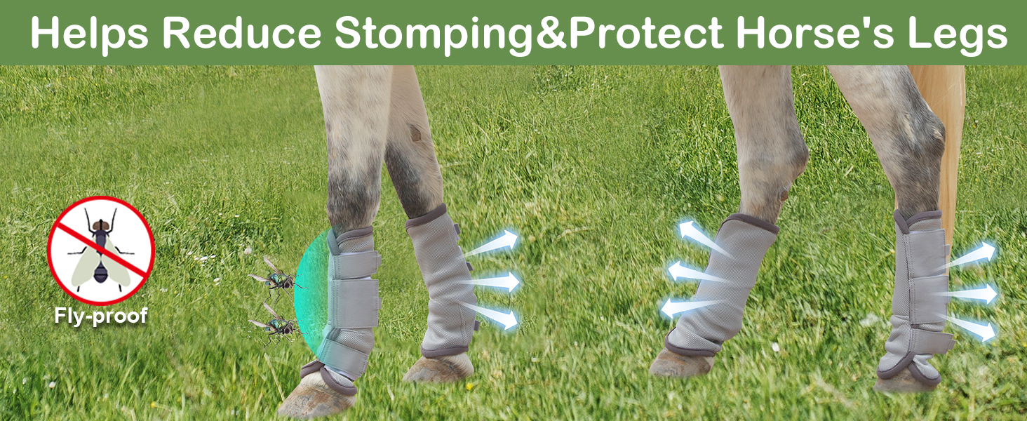 fly leg wraps for horses