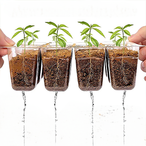 seedling starter trays