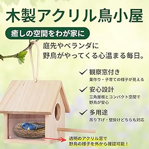 巣・巣箱 kotori 71eEGyfo1cL._UF350,350_QL80_.jpg