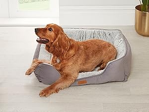pet beds