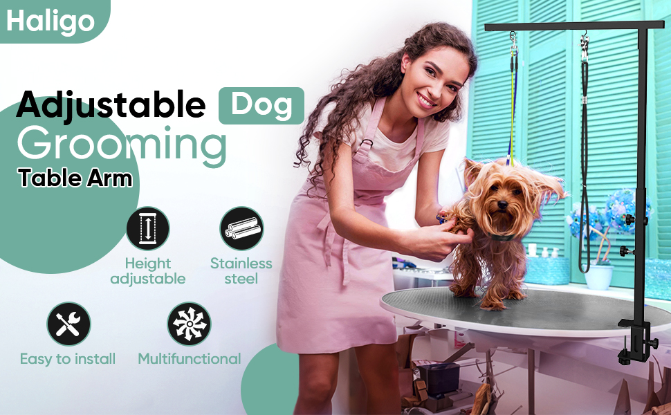 dog grooming table