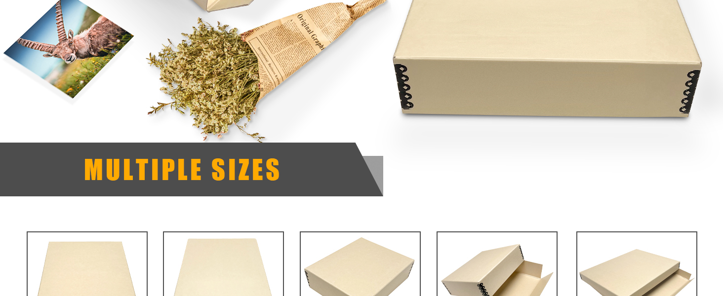 Golden State Art, Archival Storage Box, AcidFree Drop