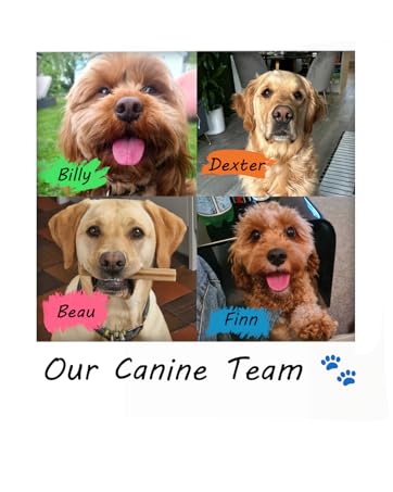 Our Canine Team