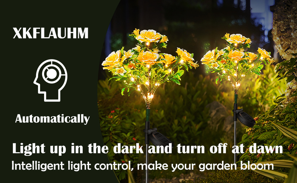 solar flowers
