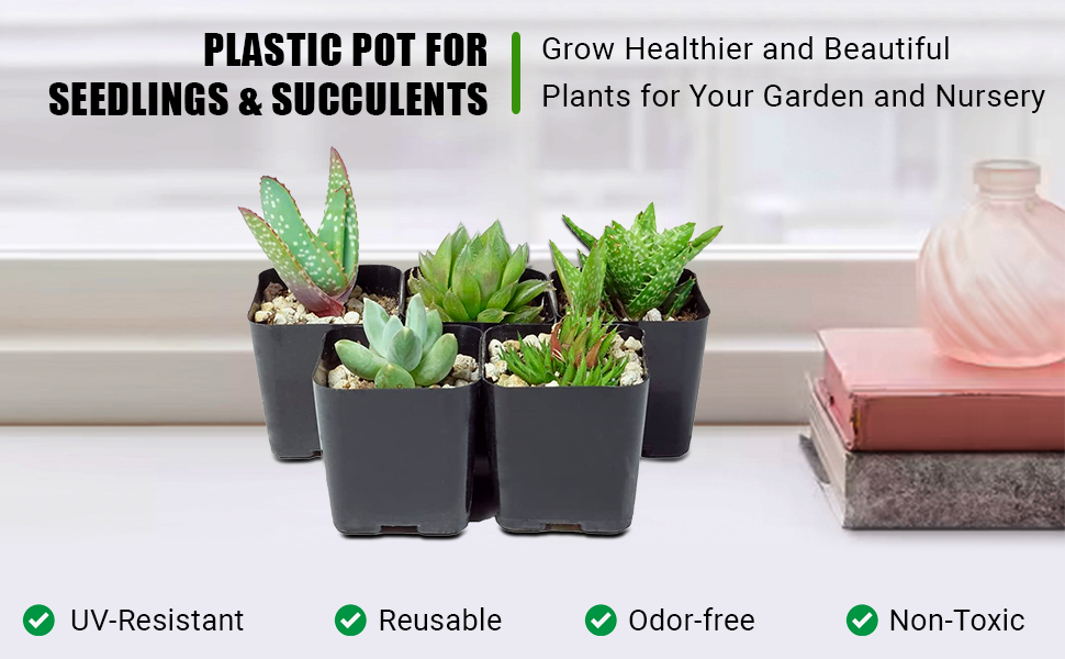 Plastic Pot for Seedlings and Succulents