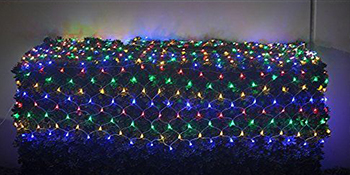 bush lights