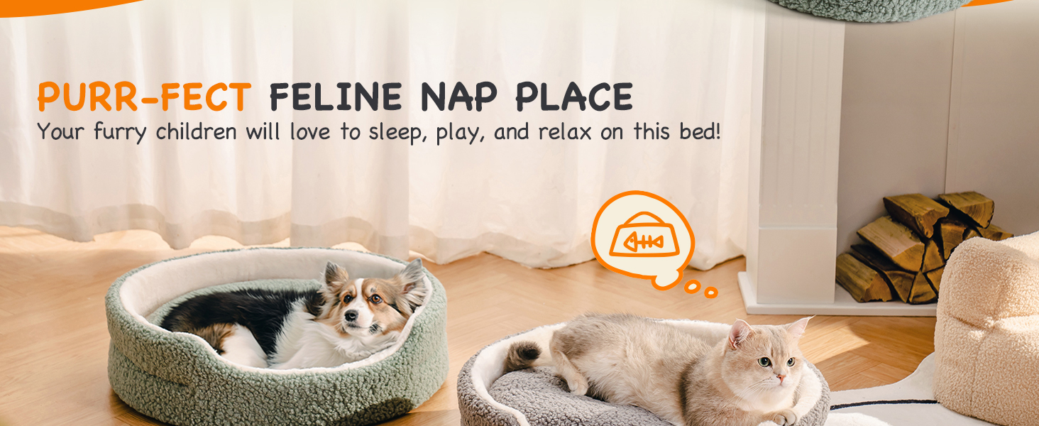 MEWOOFUN Cat Beds for Indoor Cats Large - 58x58cm Round Cat Bed Soft with Double-sided Mat, Pet Bed Washable for Cats, Puppy and Small Dogs, Sage Green 18 1