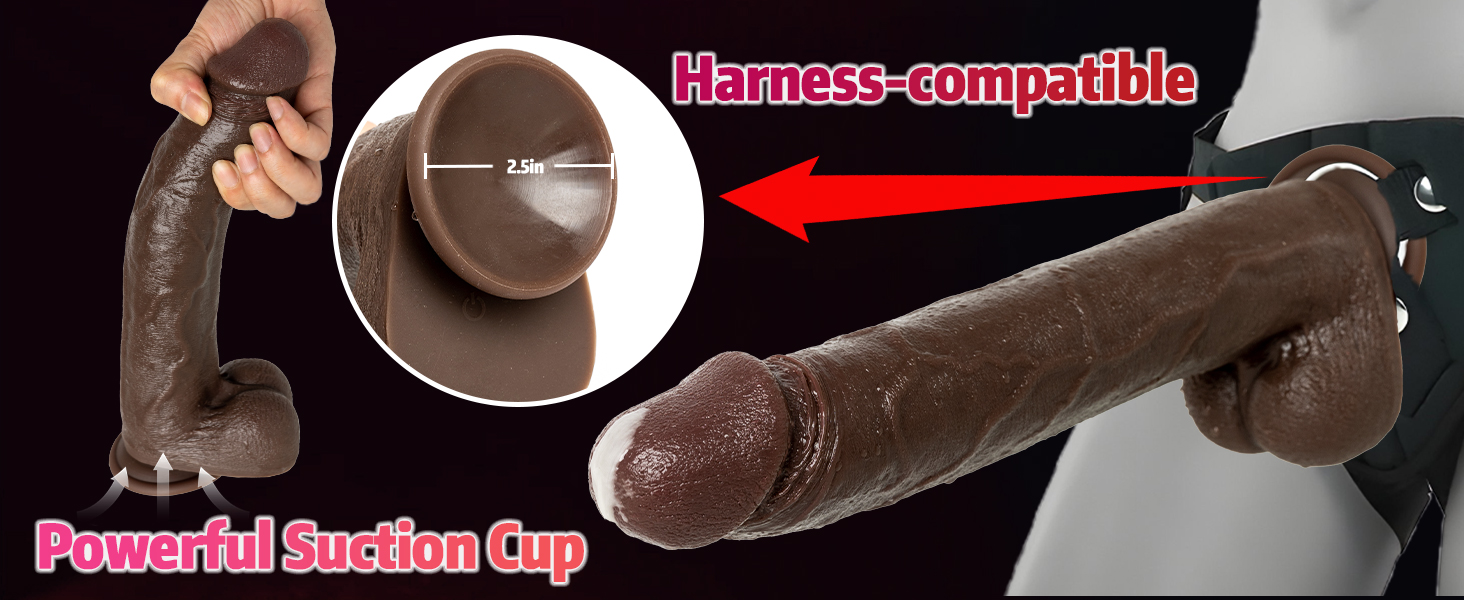 suction cup toy
