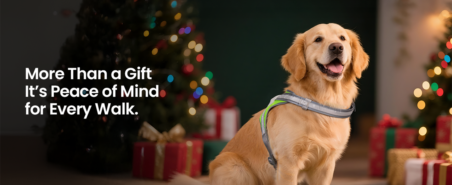 large harness for dogs