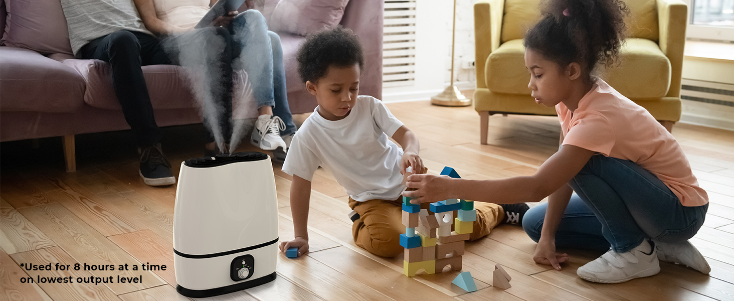 Everlasting Comfort's Cool Mist Humidifiers for Bedroom 6L