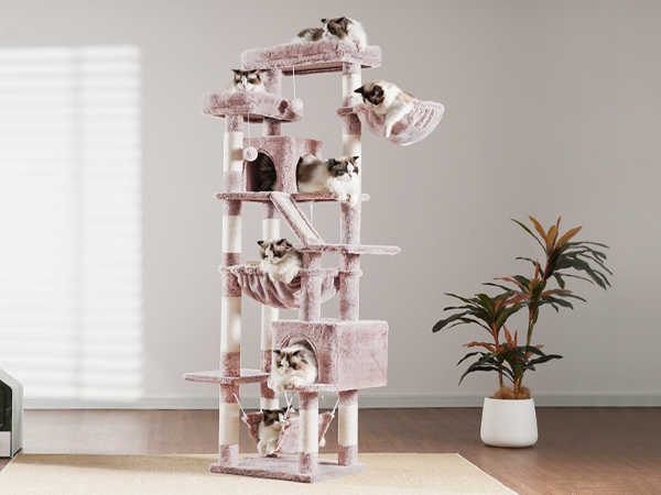 Amazon | Heyblyキャットタワー 多頭飼い最適 高180cm 大型猫用