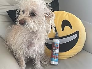 Small manufacture image 4