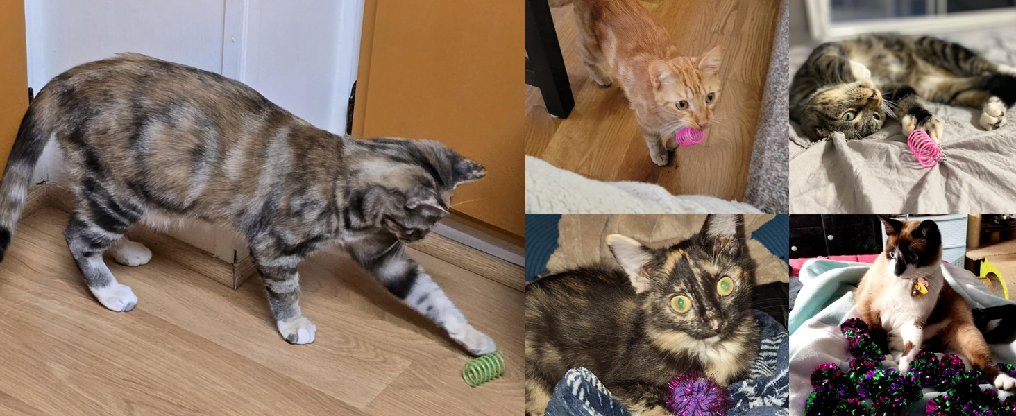 CAT TOYS FOR INDOOR