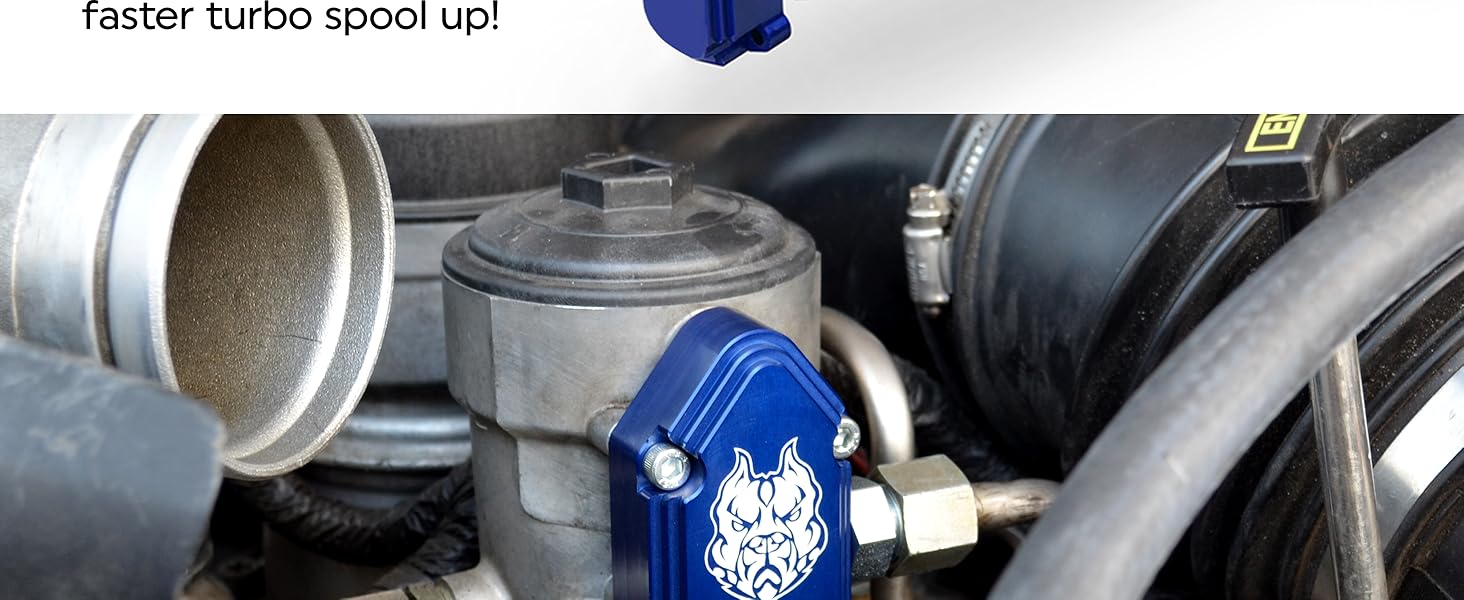 Sinister Diesel Blue Spring Kit with Billet Spring Housing