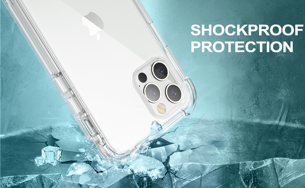 iPhone 12 Pro Max Case