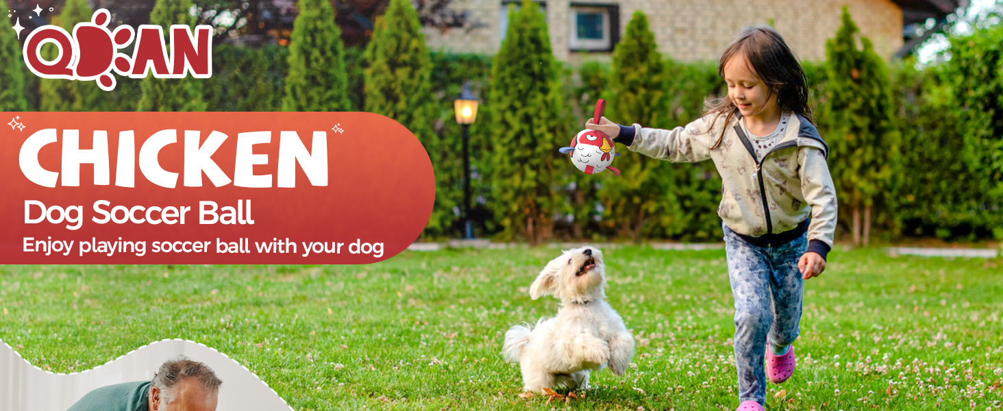 QDAN Dog Soccer Ball -Chicken Shape