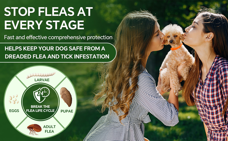 Woyamay 4 Pack Flea Collar for Dogs, Natural Flea and Tick