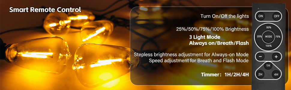 outdoor string lights with remote