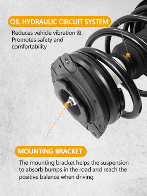 Struts Shock Assembly