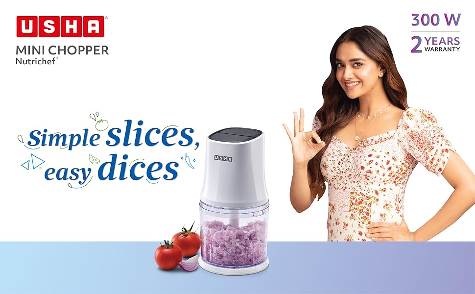 Buy USHA Mini Chopper Nc300Xsw 300 W Multipurpose Chopper Capacity 500
