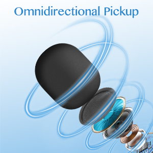 Omnidirectional Pickup