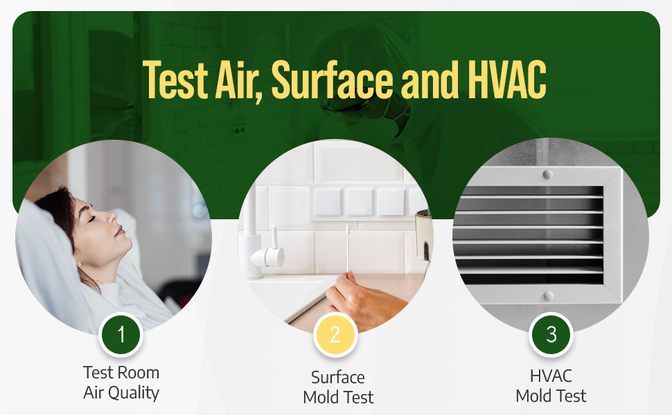 Mold Test Kit for Home 5 Individual Mold Air Test Kit, Mold Detector