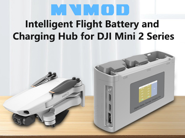Amazon.com: MVMOD Mini 4K/Mini 2 Battery 2Pack with Charging
