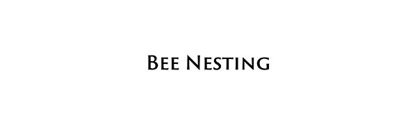 beenesting bee nesting