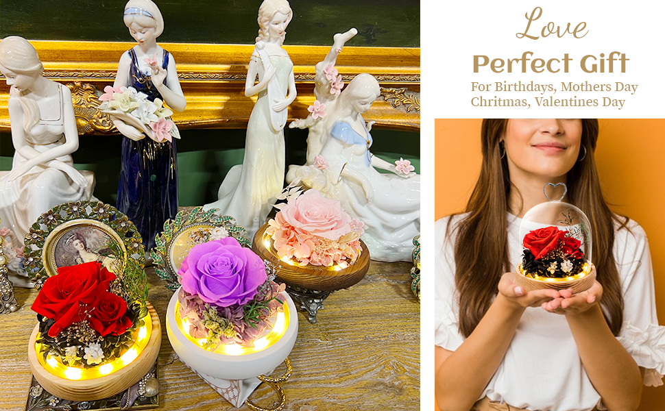 Flowers, Roses, Gifts Preserved Flowers & Fresh Flower