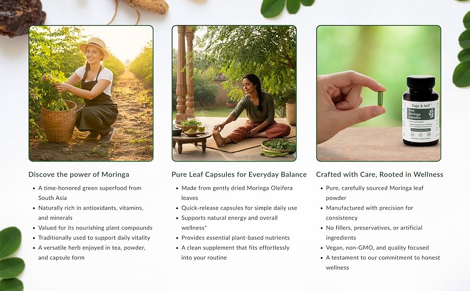 Moringa capsules supporting daily wellness, plant-based energy, and simple natural nourishment.