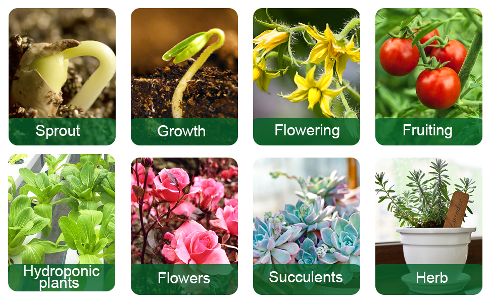 grow light