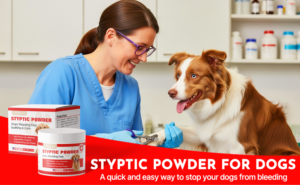 dog first aid supplies