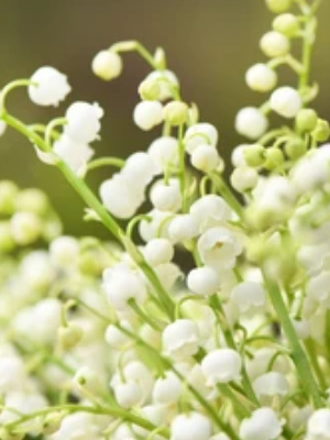 metal hairpin flower