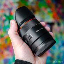 サムヤン単焦点AF 24mmF2.8ソニー Eマウントフルサイズ対応 71u8N+p-aVL._UF1000,1000_QL80_.jpg