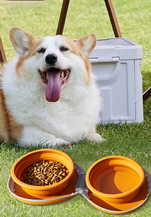Travel Dog Bowl