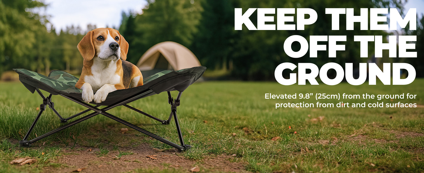 Dog camping cot