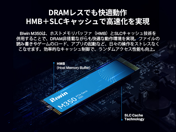 BIWIN SSD 1TB M.2 2280 おまけ付き(NS1204A) BIWIN 1TB M.2 NVMe 2280 SSD Internal SSD - Gen3 x4 PCIe 8Gb
