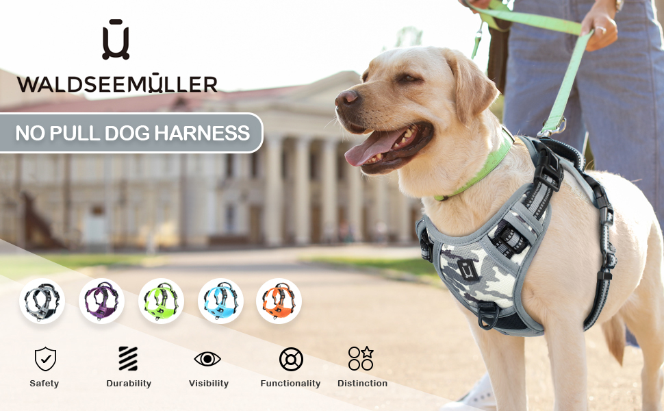 dog harness