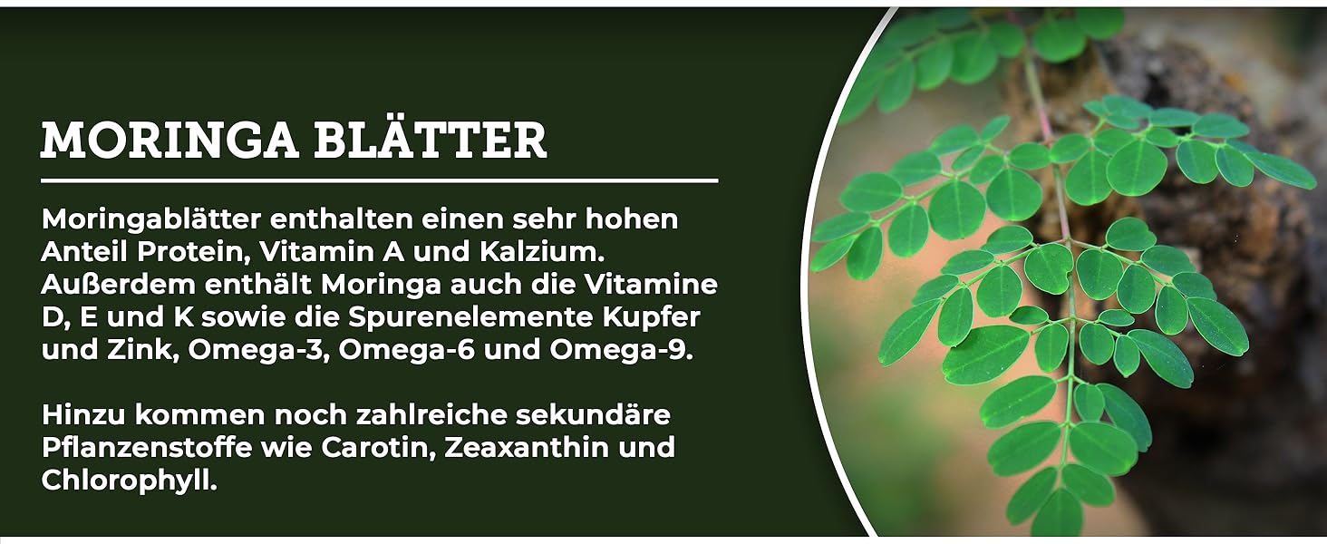Bio Morina Tabletten hochdosiert
