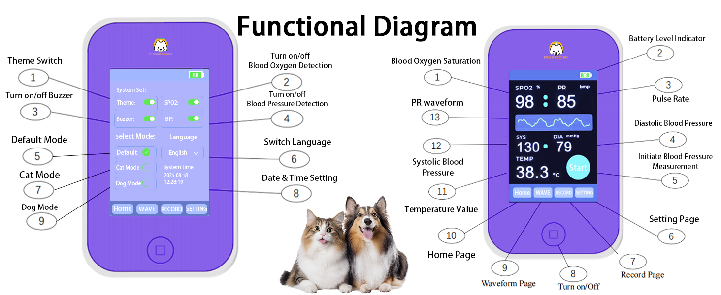 Functional Diagram