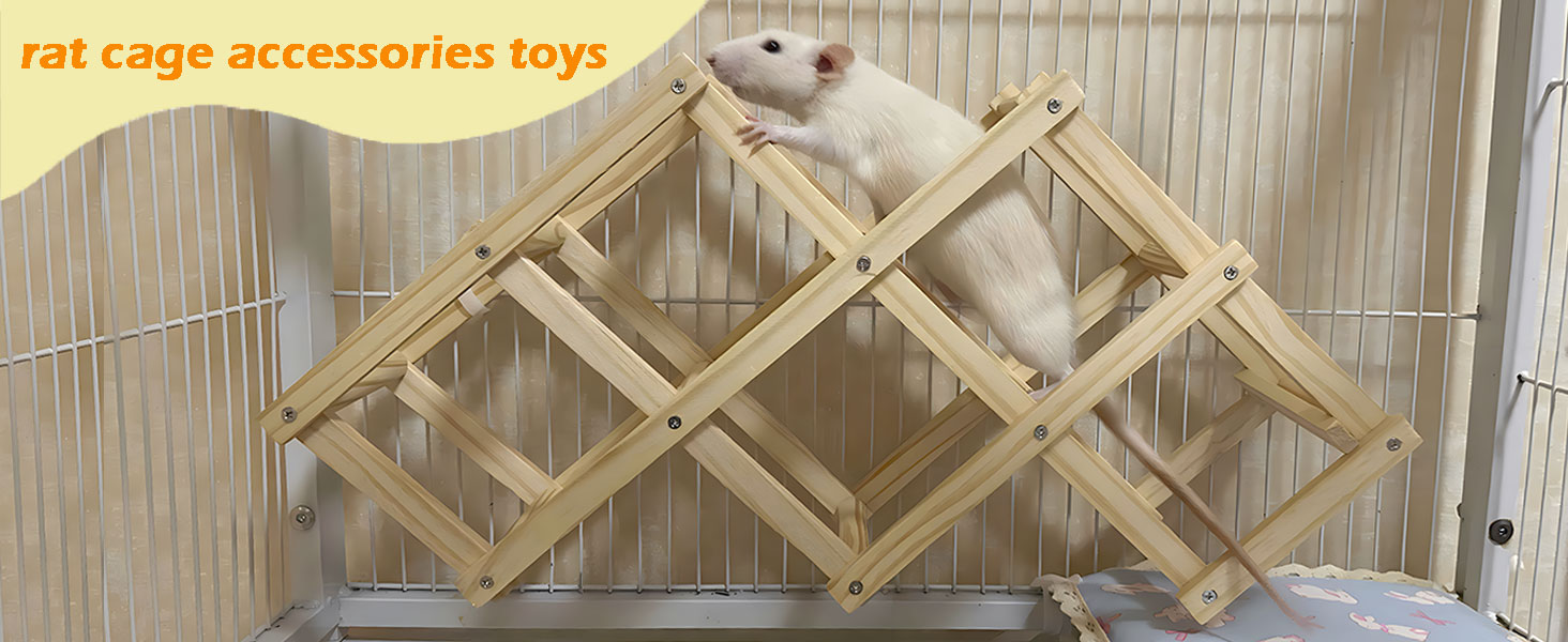 enrichment toys for rats