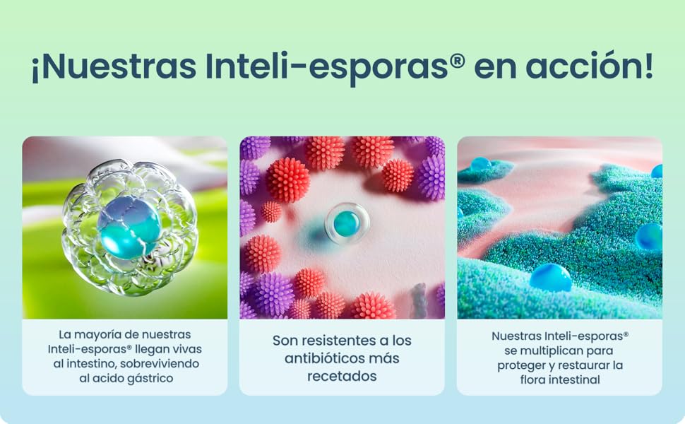 Inteliesporas en acción, resisten se multiplican y protegen. 