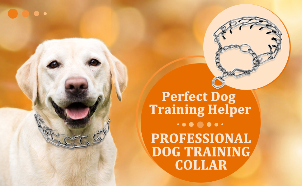 Dog Training Collar with Protective Rubber Tips, Dog