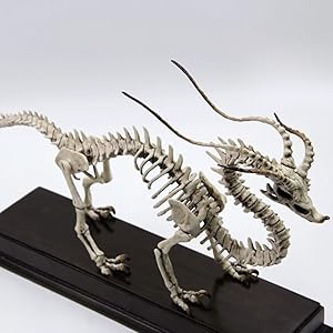 Amazon | BACALYSO | TTwei studio 走竜 龍 骨格 化石 47cm級