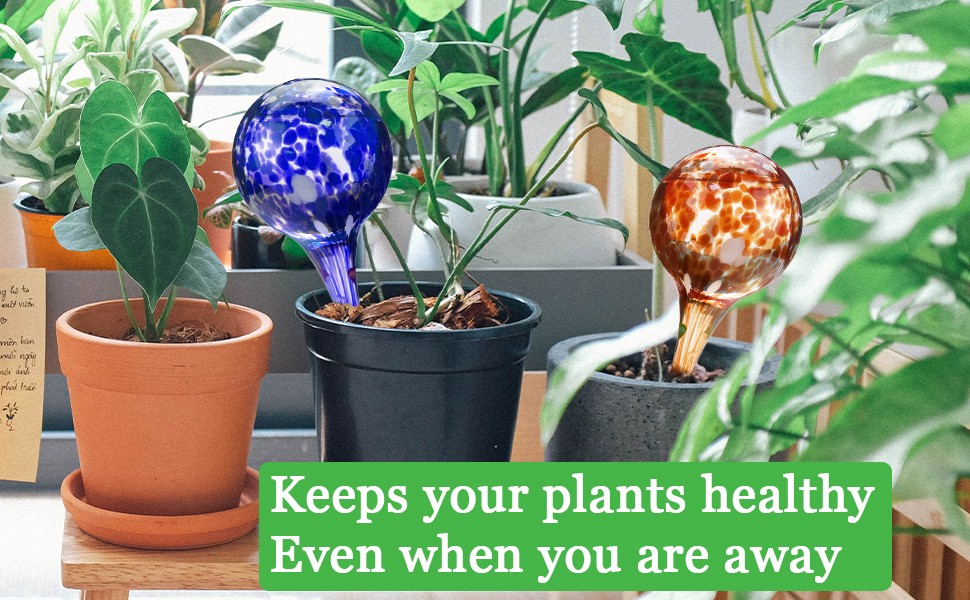 Plant Watering Bulbs Self-Watering Balls Watering Globes  Automatic Watering System