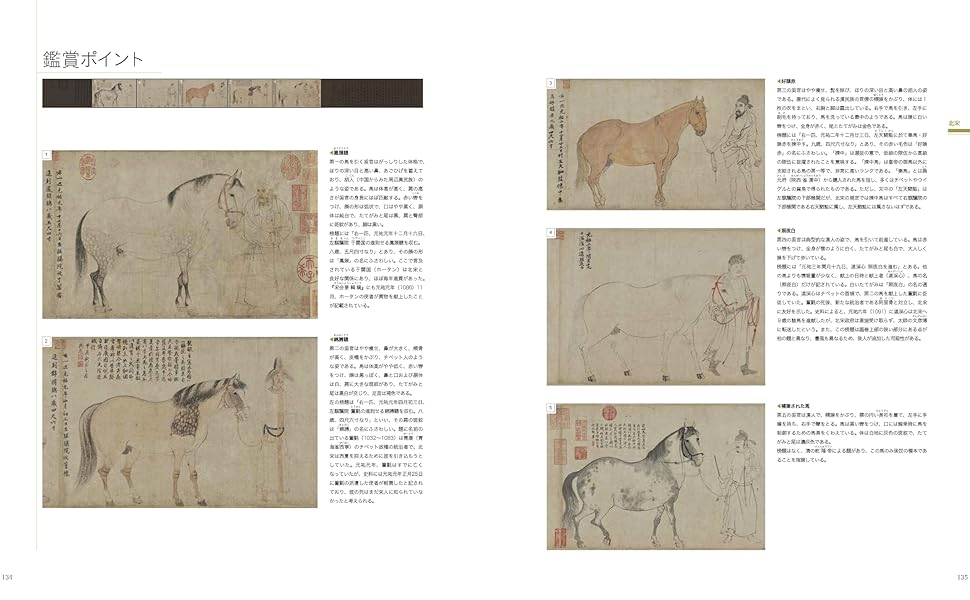 Amazon.co.jp: 図鑑 中国絵画の歴史 : 馮 翰林, 馮 翰林, 飛田