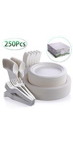 disposable dinnerware