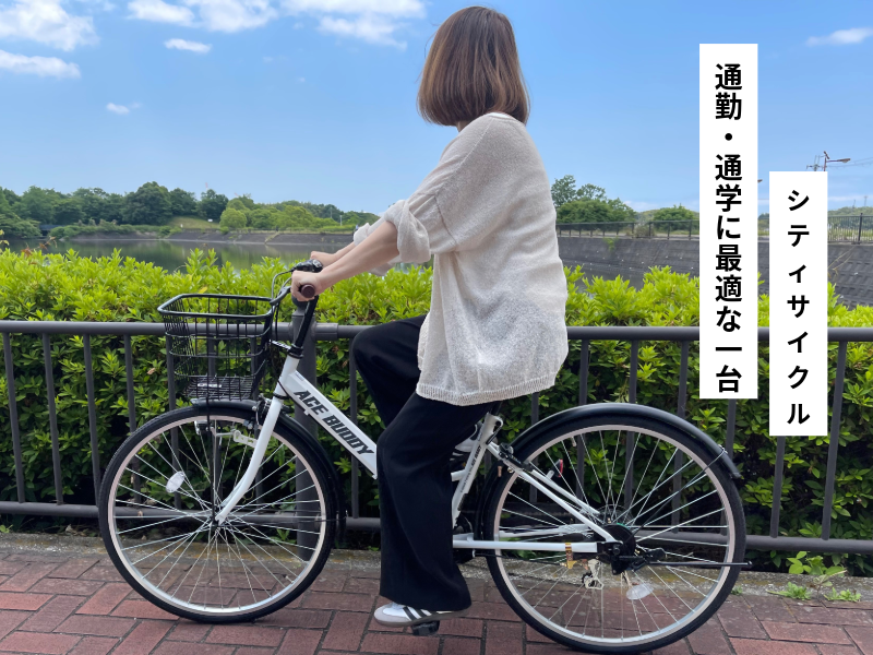 いわっち 電動アシスト自転車 DACT266 | 21テクノロジー ONLINE STORE